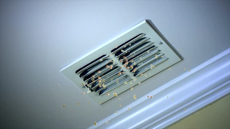 Best Air Duct Cleaning Near Me  in Palm Valley, TX