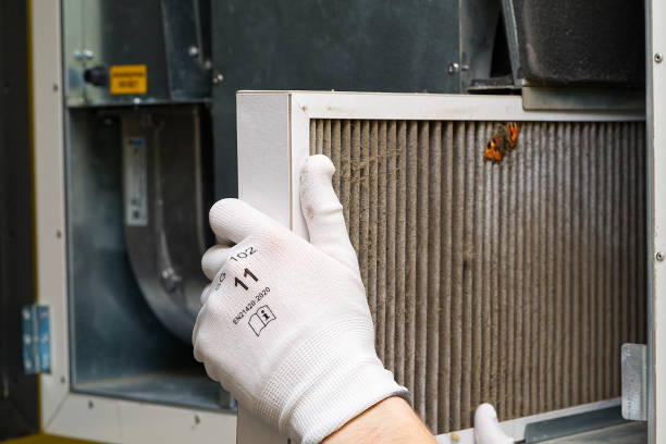 Best Air Vent Cleaning Services  in Palm Valley, TX